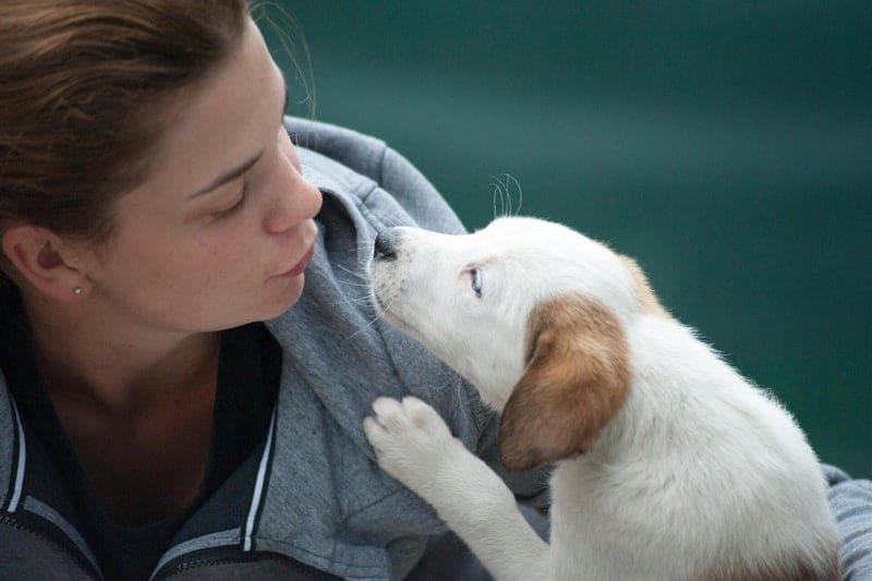 Mujer con un cachorro blanco y canela que le acerca el hocico